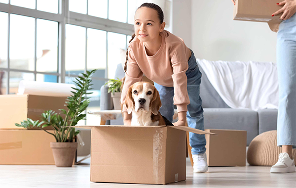 moving with pets